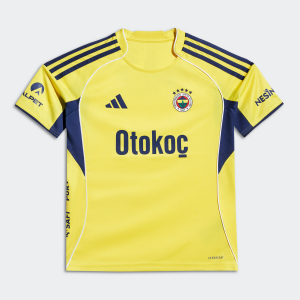 25/26 Fenerbahce Away Football Jersey 1:1 Thai Quality